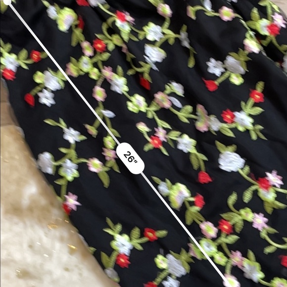 Kimchi blue urban outfitters mesh floral embroidered dress - Picture 4 of 5